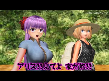 【東方MMD】魔女狩りの村【アウターゾーン】