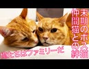 女王猫たち、末期のボス猫の元に結束する