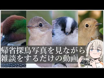帰省探鳥 美しき翼に魅せられて＃２２【野鳥観察】