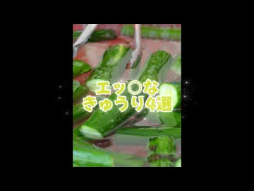 エッ○なきゅうり4選