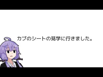 カブのシートの見学に行きました。