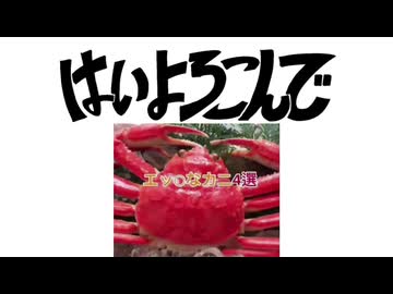 はいエッチなカニ4選