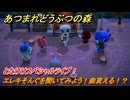 あつまれどうぶつの森　とたけけスペシャルライブ！エレキそんぐを聞いてみよう！曲貰える！？　＃３０７　【あつ森】