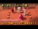 あつまれどうぶつの森　とたけけスペシャルライブ！おとといを聞いてみよう！曲貰える！？　＃３１０　【あつ森】