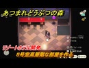 あつまれどうぶつの森　リゾートホテル開発　５号室高層階な部屋を作る　＃６０　【あつ森Switch2エディション】