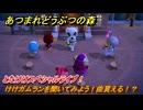 あつまれどうぶつの森　とたけけスペシャルライブ！けけガムランを聞いてみよう！曲貰える！？　＃３２０　【あつ森】