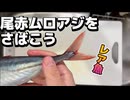 尾赤ムロアジをさばこう