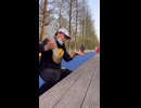 やじゅまんと見るサイ