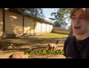 やじゅまんと見る観光