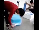 やじゅまんと見る梱包