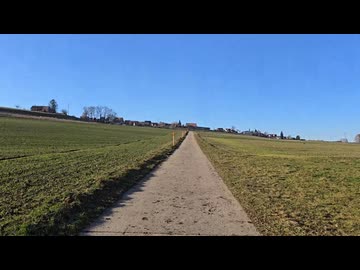 Vlog(2026/1/17) / 初音ミク・重音テト　ライブおひとりさまのアーカイブ(聖者の行進)