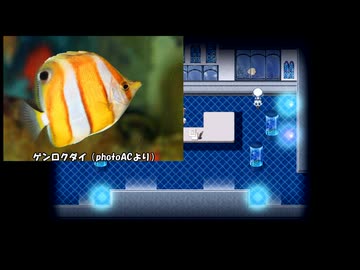 【アクアリウムは踊らない完全版】ビアンカ水族館を最後まで楽しむ(1)【前編】