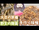 "大豆の原種"と"野生の麹菌"で味噌作りチャレンジ！