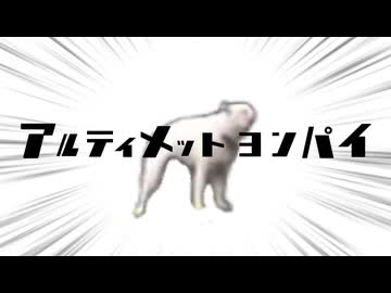 アルティメットヨンパイ