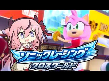 当家のソニックレーシングクロスワールド42