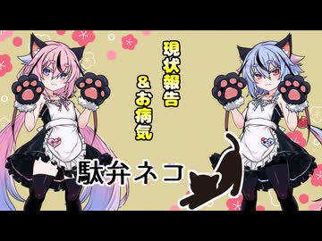 【雑談車載】駄弁ネコ　現状報告＆お病気