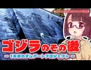 【行ってみた】ダムアートのゴジラは消えてしまったのか？【きりたんの佐賀探し#04】（聞き手：夏色花梨）