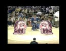 ｽﾋﾟｷの相撲