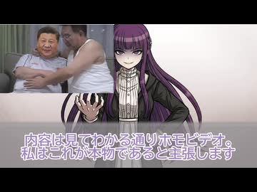 論争のフリーレン「習近平国家主席 ホモビデオに出たことある？出たことない？」【ディベート_アニメ_フルボイス】