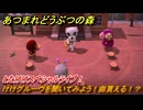 あつまれどうぶつの森　とたけけスペシャルライブ！けけグルーヴを聞いてみよう！曲貰える！？　＃３２４　【あつ森】