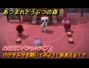 あつまれどうぶつの森　とたけけスペシャルライブ！けけサルサを聞いてみよう！曲貰える！？　＃３２８　【あつ森】