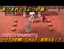 あつまれどうぶつの森　とたけけスペシャルライブ！けけスカを聞いてみよう！曲貰える！？　＃３３５　【あつ森】