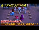 あつまれどうぶつの森　とたけけスペシャルライブ！けけソウルを聞いてみよう！曲貰える！？　＃３３７　【あつ森】