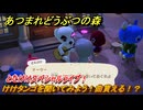 あつまれどうぶつの森　とたけけスペシャルライブ！けけタンゴを聞いてみよう！曲貰える！？　＃３４０　【あつ森】