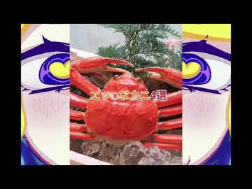 どうかになっちゃいそう！