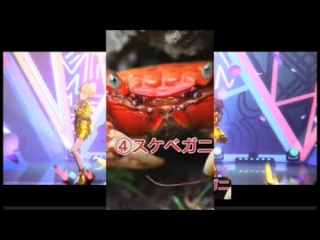 雨上がりのエッ〇ガニ4選