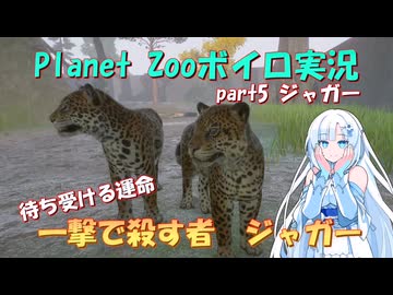 【Planet Zoo】雪さん動物園part5 ジャガー【ボイロ実況】
