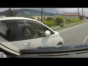 ホモと見る左右確認をせずとんでもないことになる女