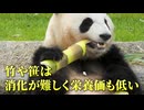 ジャイアントパンダが竹を食べるようになった理由