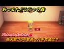 あつまれどうぶつの森　任天堂コラボ家具の入手方法は？Nintendo Switch２編　＃８２　【あつ森Switch2エディション】