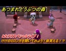 あつまれどうぶつの森　とたけけスペシャルライブ！けけのミロンガを聞いてみよう！曲貰える！？　＃３４７　【あつ森】