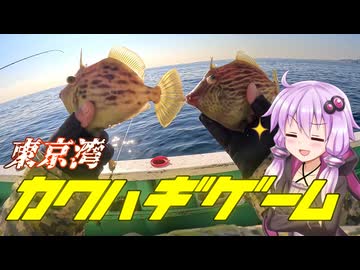 真冬の真剣勝負、東京湾でカワハギゲームの巻【ボイスロイド旅行記Vol.93】