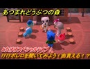 あつまれどうぶつの森　とたけけスペシャルライブ！けけボレロを聞いてみよう！曲貰える！？　＃３６０　【あつ森】