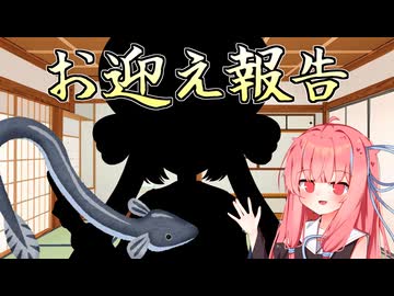 【雑談】また新メンバーをお迎えした模様【琴葉茜+α】