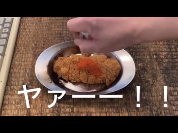 マグマとんかつ食べてみた