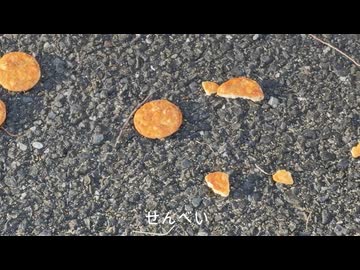 【散歩】東京都江東区新木場を歩く【2年ぶり東京ゲートブリッジリベンジするも強風過ぎた編 part4②】