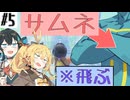 【カービィのエアライダー】フリモメンがやってきた！【フリモメン誕生祭2026】【マキ&モカ、ライドする #5】