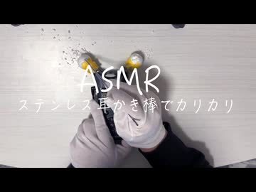 【実写ASMR _耳かき】ステンレス耳かき棒でカリカリする音【TASCAM DR-07X】