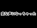 近況報告のような雑談のような