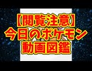 【閲覧注意】今日のポケモン動画図鑑