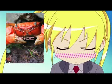 えっちのきもちのほんとのよんせん