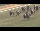 2012 アメリカジョッキークラブＣ(GII)　ルーラーシップ