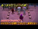 あつまれどうぶつの森　とたけけスペシャルライブ！けけララバイを聞いてみよう！曲貰える！？　＃３６９　【あつ森】