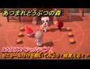 あつまれどうぶつの森　とたけけスペシャルライブ！セニョールけけを聞いてみよう！曲貰える！？　＃３７８　【あつ森】