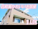 かわいいお部屋 ソレイユSG １LDK賃貸アパート 岡山市北区三野