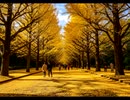 世界中の誰よりきっと〈PART II〉【歌ってみた】